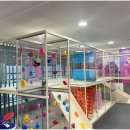 신라레거시호텔 이미지