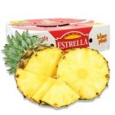 파인애플 이미지