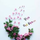 동수천로 이미지