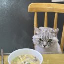디자인작은공작소 이미지
