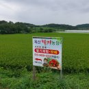 가작농장 이미지