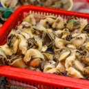 우리수산 이미지