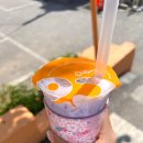 코코버블티경희대 이미지