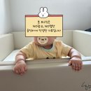 레이디가구 레브 아기침대 후기 (핫딜, 냄새, 쿨두가드)