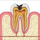 김태영치과의원 이미지
