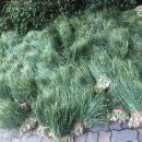 노은동경로당 이미지