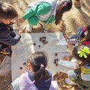 안성유치원 이미지