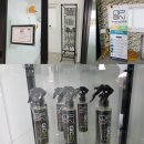브로디테일링 이미지