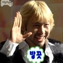 피부담다
