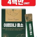 주희네마겟