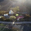 용구니아지트 이미지