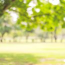 세인트가든 이미지