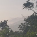 광원리 월둔교 이미지