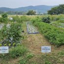 3공단1로1-20 이미지