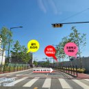 강일태권도 이미지