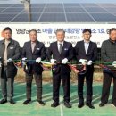 영광1 태양광발전소 이미지