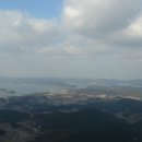 팔봉농장 티스토리