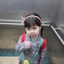 돈앤삼겹살 이미지