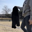 [대구에서 경주 당일치기 여행] 봄이었ㄷr..🌸