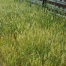 SM메디텍 이미지