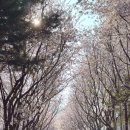 세븐일레븐 경의숲길점 이미지