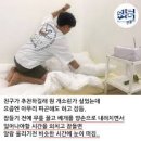 스피드메이트 서울대입구역점 이미지