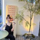 엘레슈의원 이미지