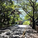 금정산 여름나기 2차 산행(산성고개~4망루~통일동산) 이미지