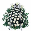 양평부안초 이미지