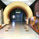 경상북도산림과학박물관 이미지