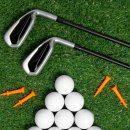 선인스크린 이미지