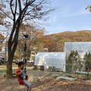 11월 ＜가을을 만나러가요 - 숲 속 놀이터(동천 자연 식물원)-짚라인 타기*자유놀이 및 산책＞ 이미지