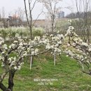 도도리저수지 이미지