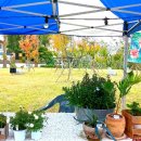 금마면 주민센터 이미지