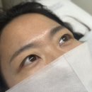 [신사]디자인&amp;유지력 만족도 최고! / 여행 전 속눈썹 연장 후기✈️ | 라피네뷰티스튜디오
