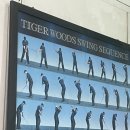 아센스크린골프연습장 이미지