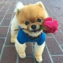 여월주간보호센터 이미지