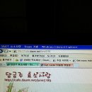 효소사랑