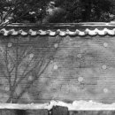 낙산사담장 이미지