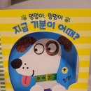 멍멍 이미지