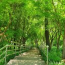 푸른쉼터 표지석 이미지