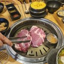 월촌도야지 이미지