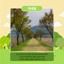 박준덕부부효열각 네이버블로그