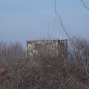 쌍용대로 이미지