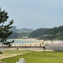 바다를바라보다이사부