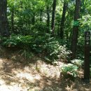 장정리 마을회관 | 강화 장정리 오층석탑/석조여래입상/양오저수지/화문석문화관(강화나들길18코스)