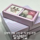 구성2구 | 일성떡집, 백설기 꿀떡 2구 답례떡 솔직후기! 부산떡집 추천