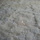 스타항균세탁 이미지