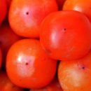 오렌지게스트하우스 이미지