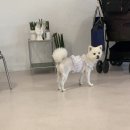 비엘디(BLD)